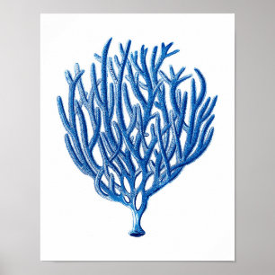Blue Sea Coral Art Print #1 Beach House Wall Art Poster