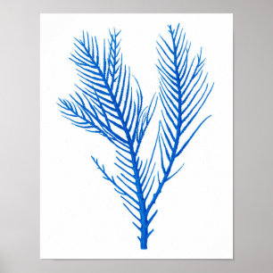 Blue Sea Coral Print #10 Beach Wohngestaltung Poster
