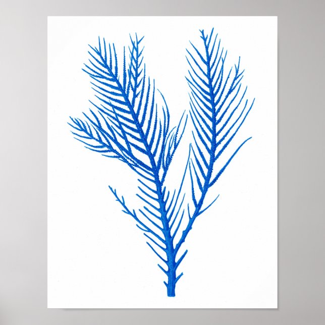 Blue Sea Coral Print #10 Beach Wohngestaltung Poster (Vorne)
