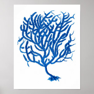 Blue Sea Coral Print #10 Wohngestaltung Art Poster