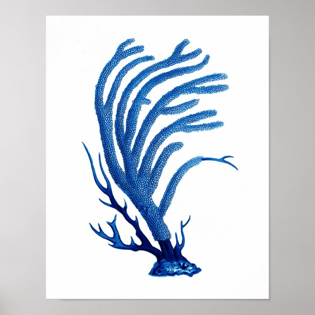 Blue Sea Coral print #2 Coastal Wall Art Decor Poster (Vorne)