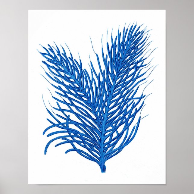 "Blue Sea Corcoral Print # 8 Wohngestaltungen Post Poster (Vorne)