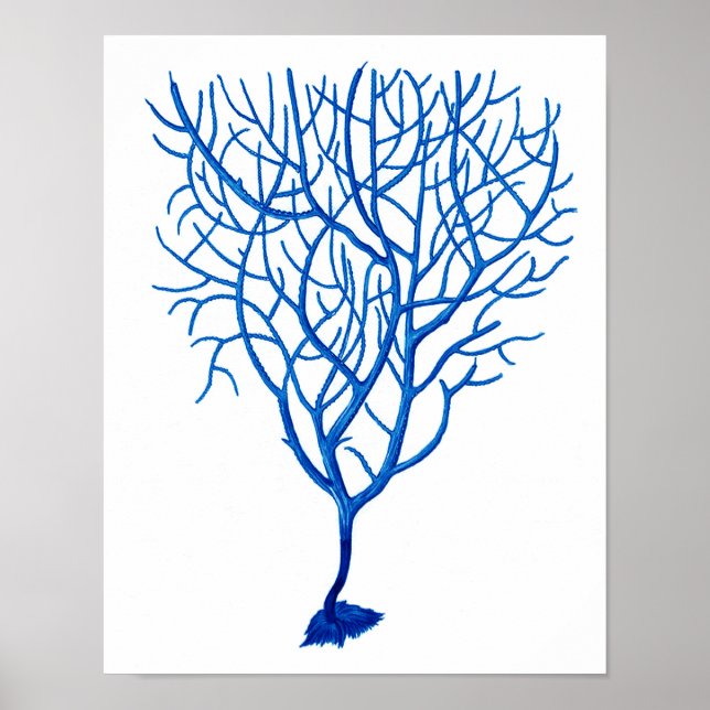 Blue Sea Fan Art Print # 6 Beach Thema Dekoration (Vorne)