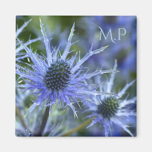 Blue Sea Holly Magnet