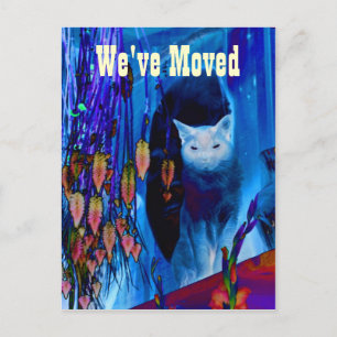 Blue Siamese Cat Moving New Address Postcard Ankündigungspostkarte