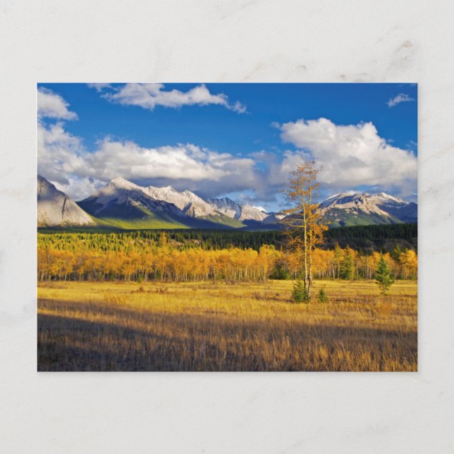 Blue Skies and Clouds above a meadow Postkarte (Vorderseite)
