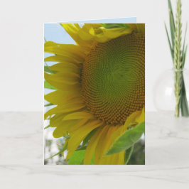 Blue Skies and Friendly Flower Sunflower Card Karte