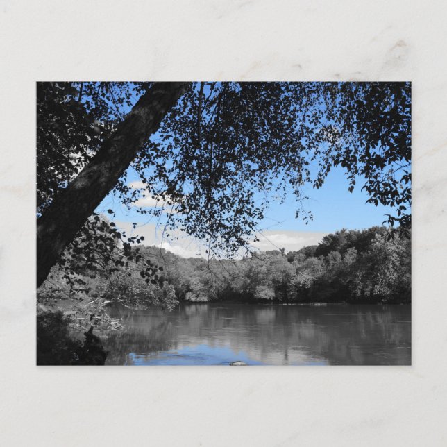 Blue Skins and Seen Post Card Postkarte (Vorderseite)