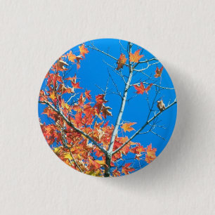 Blue Sky Autumn Tree Button
