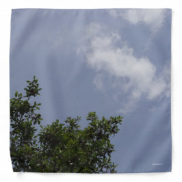 Blue Sky Bandana Halstuch
