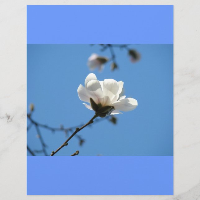 Blue Sky Custom Flyer Paper Spring Magnolia Blume (Vorne)