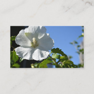 Blue Sky Garden Nature Flora Foto "White Blume Blu Visitenkarte