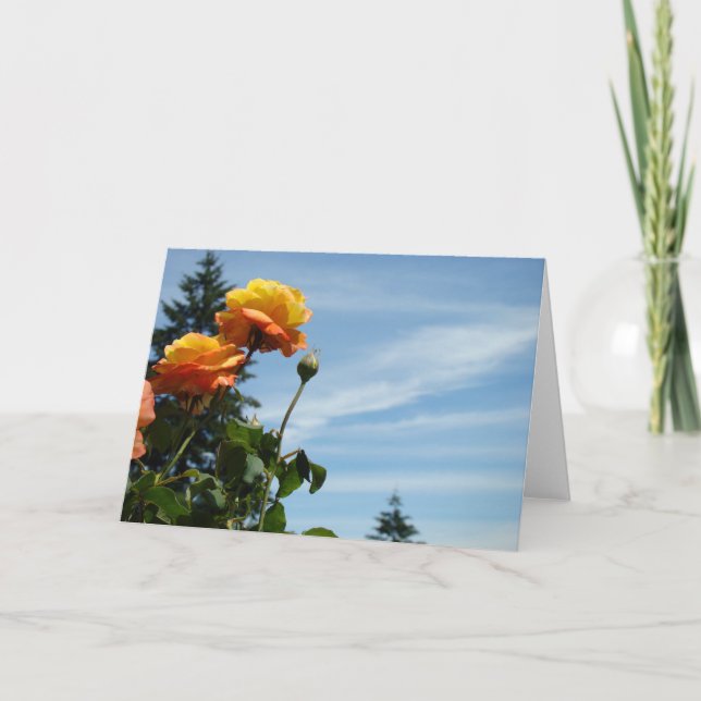 Blue Sky Grußkarten Summer Rose Garden Karte (Vorderseite)