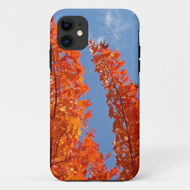 Blue Sky Handy deckt Orange-Herbstlaube ab Case-Mate iPhone Hülle (Rückseite)