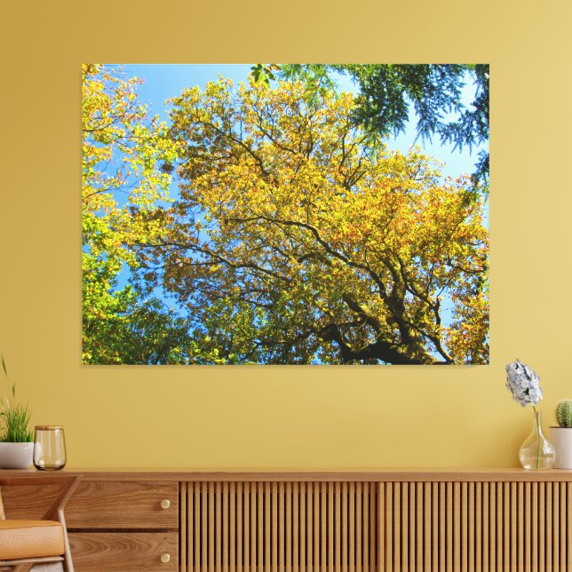 Blue Sky & Herbst - Leinwanddruck (Insitu (Wohnzimmer))