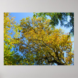 Blue Sky & Herbst - Personalisiert Poster