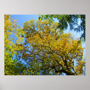 Blue Sky & Herbst - Personalisiert Poster