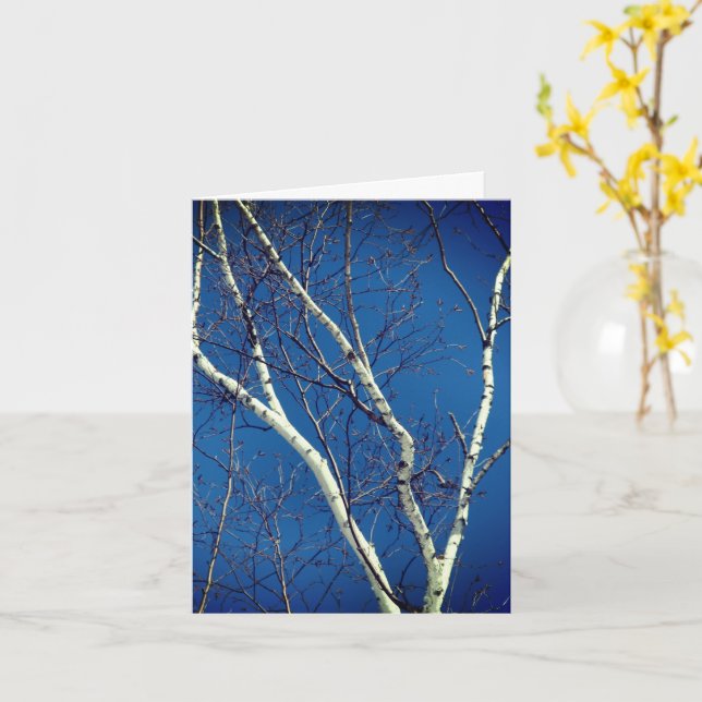 Blue Sky Nature Note Card White Birch Tree Karte (Gelbe Blume)