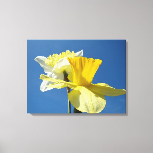 Blue Sky Spring Leinwand druckt Daffodische Blume (Vorderseite)