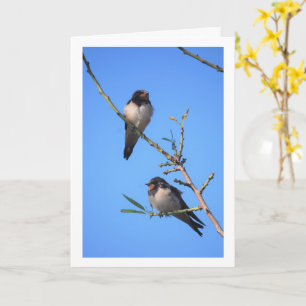 Blue Sky, Swallow Birds Portrait Karte