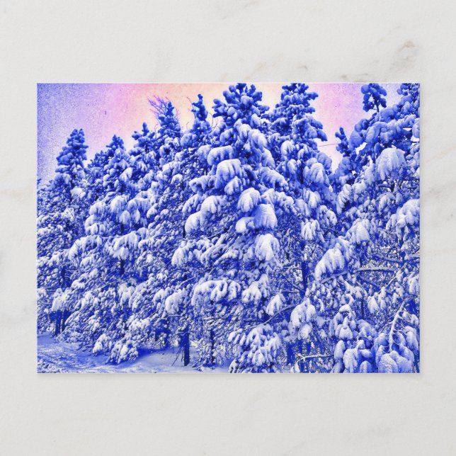 Blue Snowscape, Conifer, CO Postkarte (Vorderseite)