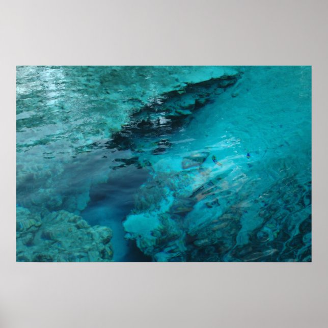 Blue Spring Print Poster (Vorne)