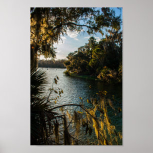 Blue Springs Staat Park, Florida Poster