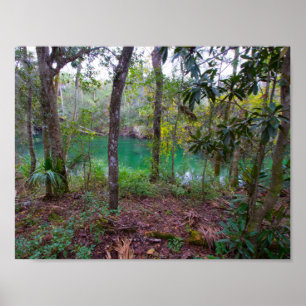 Blue Springs Staat Park, Florida Poster
