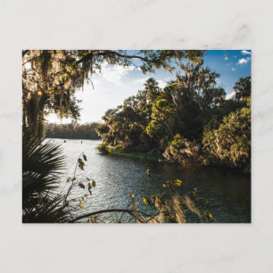 Blue Springs Staat Park, Florida Postkarte