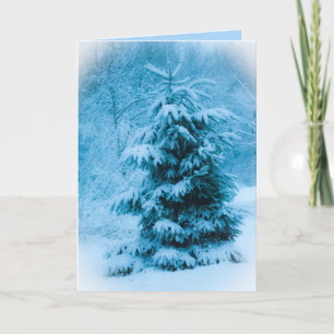 Blue Spruce Christmas Eve Foto Feiertagskarte