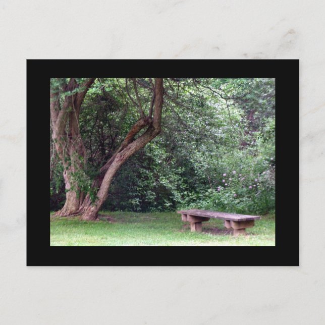 Blue Spruce Park #3 Postkarte (Vorderseite)