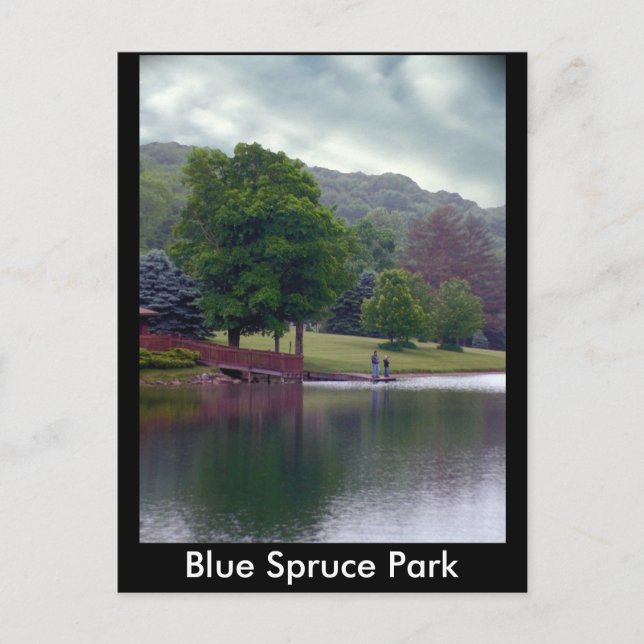 Blue Spruce Park Postkarte (Vorderseite)