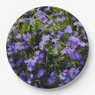 Blue Squill Spring Blumen Dinner Plate Pappteller