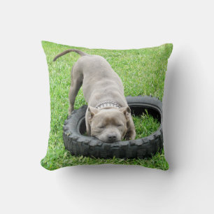 Blue Staffordshire Bull Terrier Play Time. Kissen