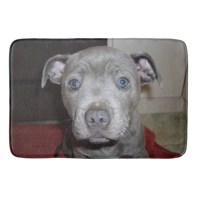 Blue Staffordshire Bull Terrier Puppy, Bathmat Badematte (Vorderseite)