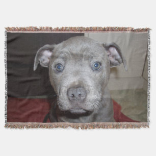 Blue Staffordshire Bull Terrier Puppy Decke