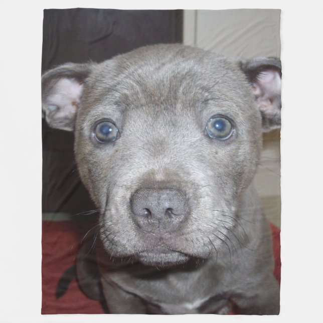 Blue Staffordshire Bull Terrier Puppy Fleecedecke (Vorderseite)