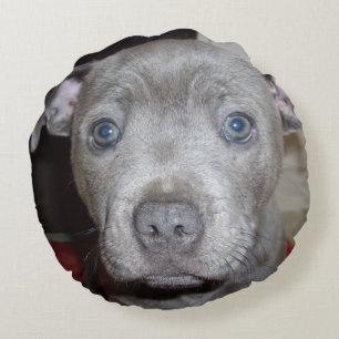 Blue Staffordshire Bull Terrier Puppy Rundes Kissen