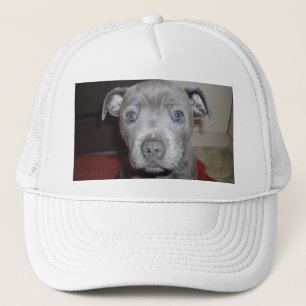 Blue Staffordshire Bull Terrier Puppy Truckerkappe