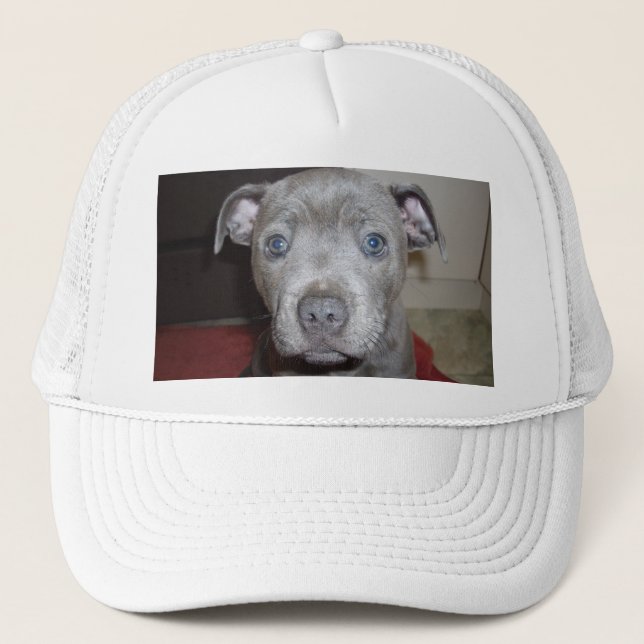 Blue Staffordshire Bull Terrier Puppy Truckerkappe (Vorderseite)