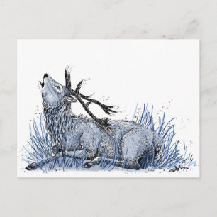 Blue Stag Postcard Postkarte