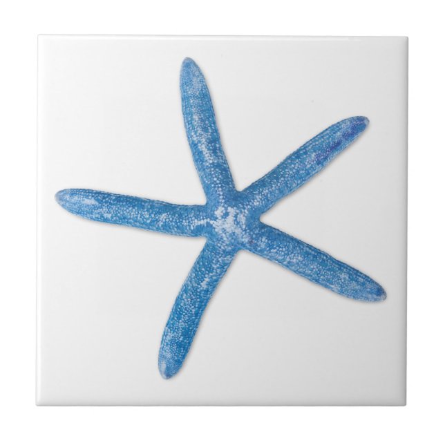 Blue Starfish Fliese (Vorderseite)