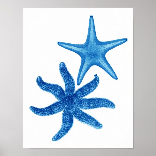 Blue Starfish No. 5 Dekoration an der Strandwand (Vorne)