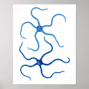 Blue Starfish No. 6 Dekoration an der Strandwand