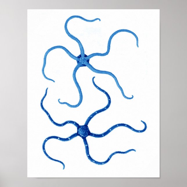 Blue Starfish No. 6 Dekoration an der Strandwand (Vorne)