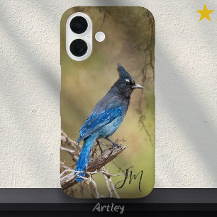 Blue Stellar Jay Bird Painting Individuelle Name iPhone 16 Hülle