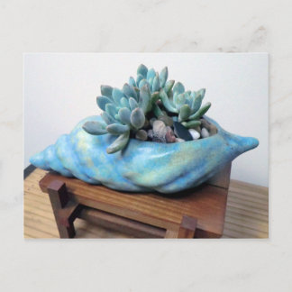 Blue Succulent in Seashell von Sukkulenten Designs Postkarte