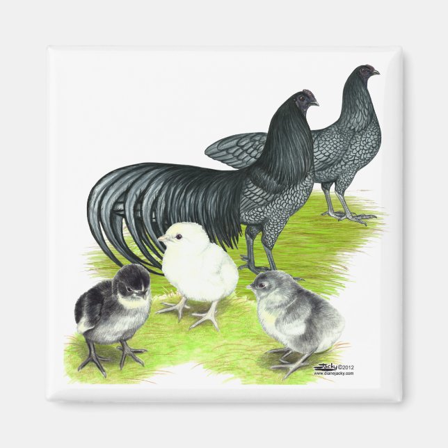 Blue Sumatra Magnet (Vorne)