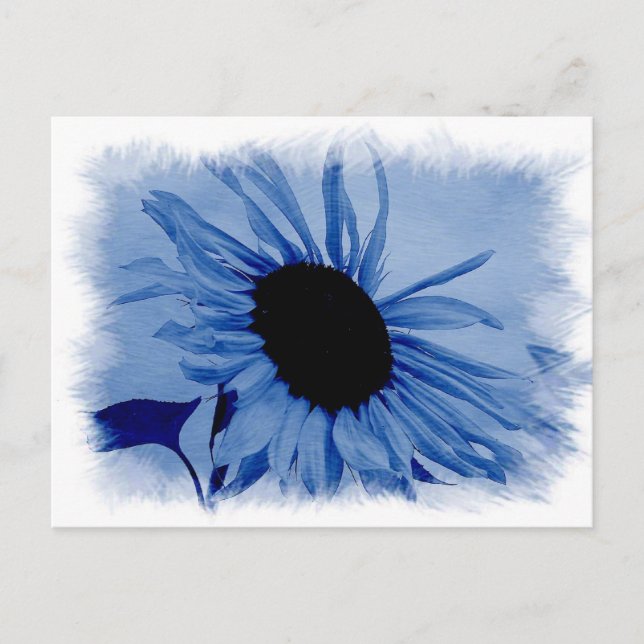 Blue Sunflower Postcard Postkarte (Vorderseite)