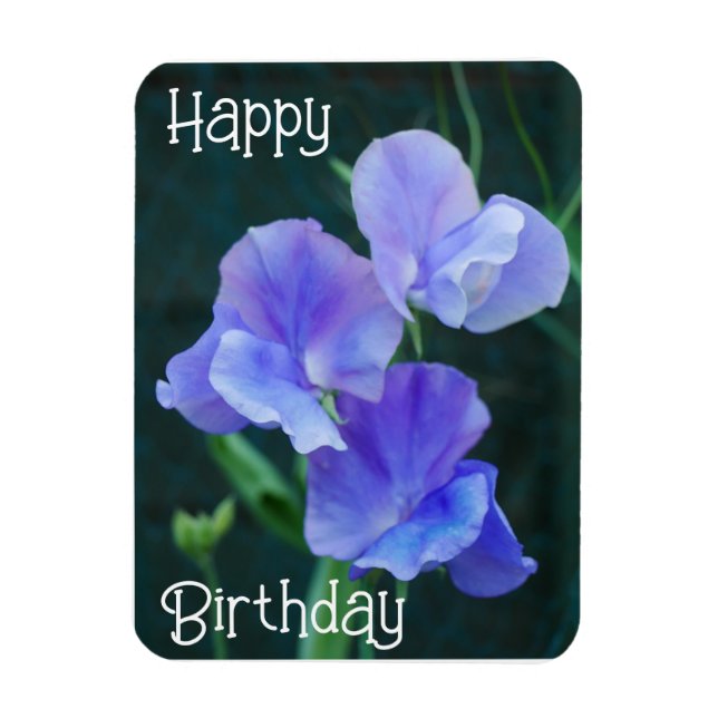 Blue Sweet Pea Blume Birthday Magnet (Vertikal)